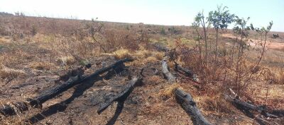 Imagem da notícia Polícia Ambiental aplica multa de R$ 1 milhão por queima irregular de 353 hectares em Costa Rica
